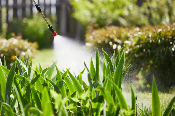 24/7 Emergency Wasp Removal experts in Louisburg, NC