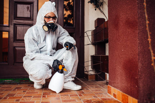Reliable Wasp Removal contractor in Louisburg, NC by Show Me Pest Control